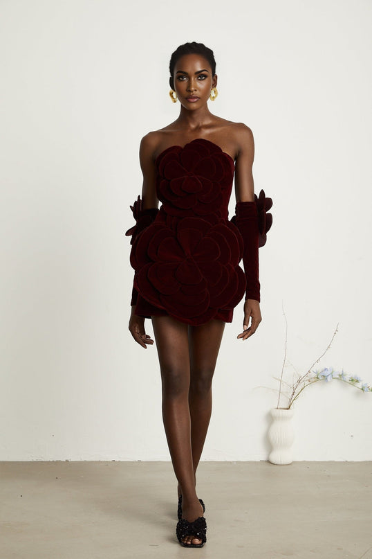Daphne Red Velvet Mini Dress with Floral Appliqué