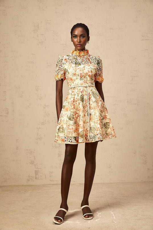 Delaney Orange Embroidered Mini Dress