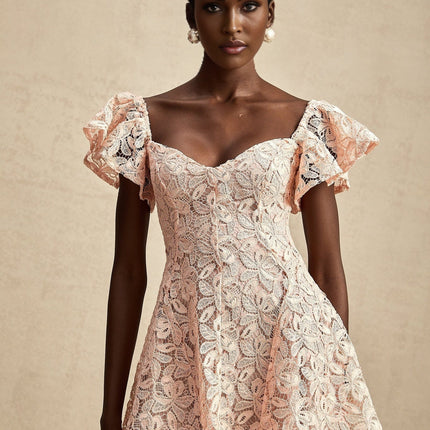 Diana Salmon Pink Lace Mini Dress Sweetheart Open Back Flutter Sleeve Flared Skirt Thigh Length Elegant Sophisticated Special Occasion Evening Out Terylene Cotton Viscose Nylon