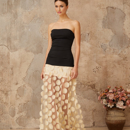 Diletta Black Maxi Dress with Elegant Tulle Paneling