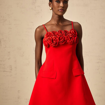 Donatella Red Floral Applique Mini Dress Flare Skirt