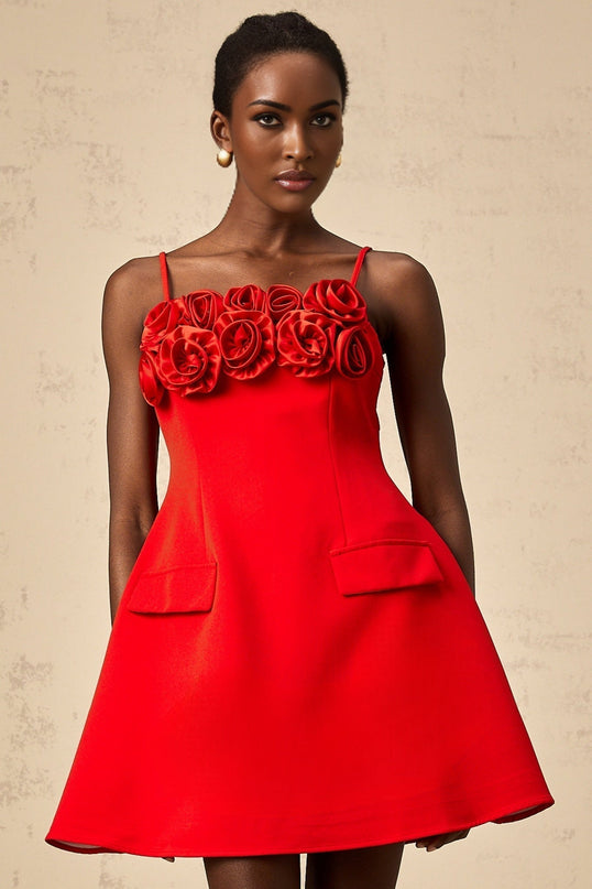 Donatella Red Floral Applique Mini Dress Flare Skirt