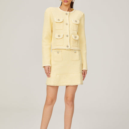Dorotea Pastel Yellow Sequin Embellished Jacket and Skirt Set