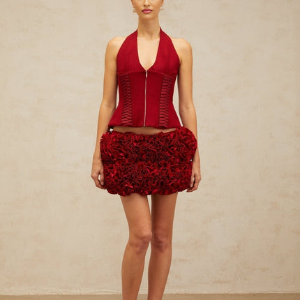 Dorotea Red Lace-up Halterneck Cropped Top