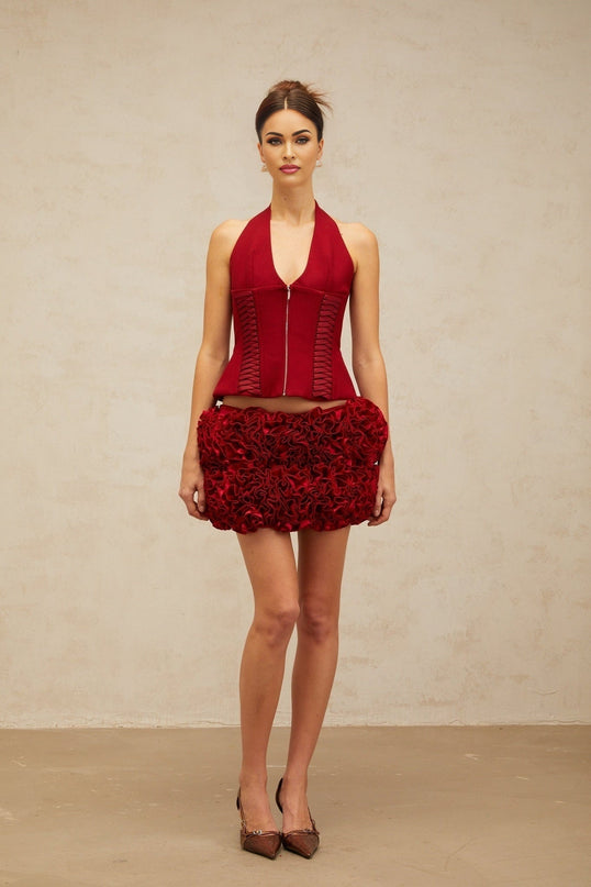 Dorotea Red Lace-up Halterneck Cropped Top