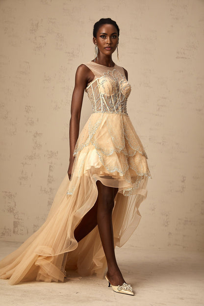 Elegant champagne colored gown with daisy embellishments and high low hemline