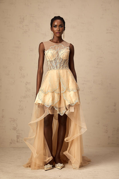 Elegant champagnecolored floorlength gown with daisy embellishments and highlow hemline