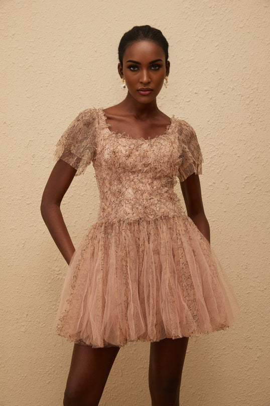 Elisabetta Mini Dress in Brown with Floral Lace Overlay and Tulle Panelling, Scoop Neck and Bubble Skirt