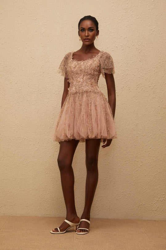 Elisabetta Mini Dress in Brown floral lace overlay tulle panelling scoop neck short sleeves fitted waistline bubble skirt rear zip fastening thigh-length Terylene fiber luxury charm