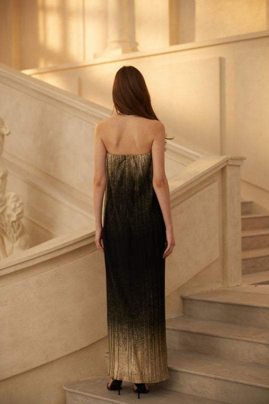 Emanuela Black Glittered Tulle Maxi Dress in sophisticated and charming design
