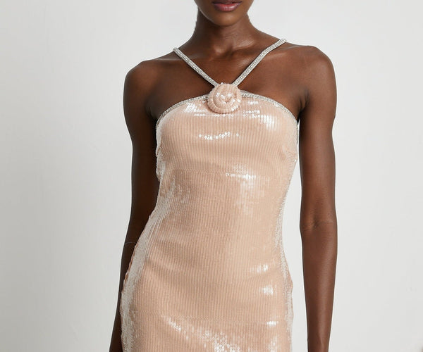 emery mini dress Emery Mini Dress | Neutrals | Sequin