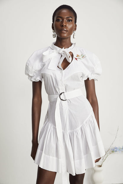 Emmanuela floralembroidered mini dress
