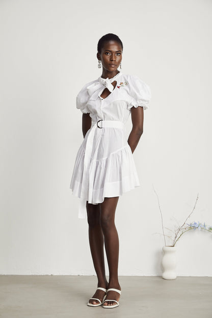 Emmanuela floralembroidered mini dress