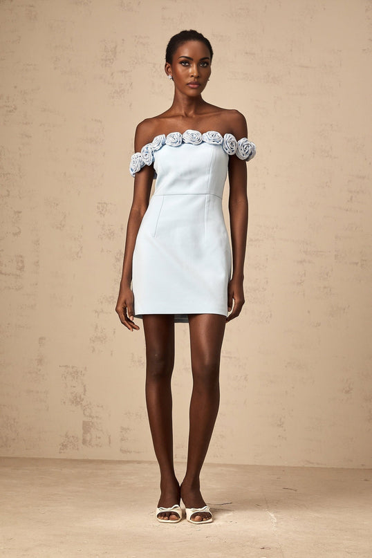 Esme Blue Flower Applique Rhinestone Mini Dress