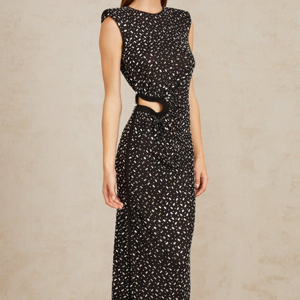 Félicie Black Embellished Mesh Maxi Gown in Black color