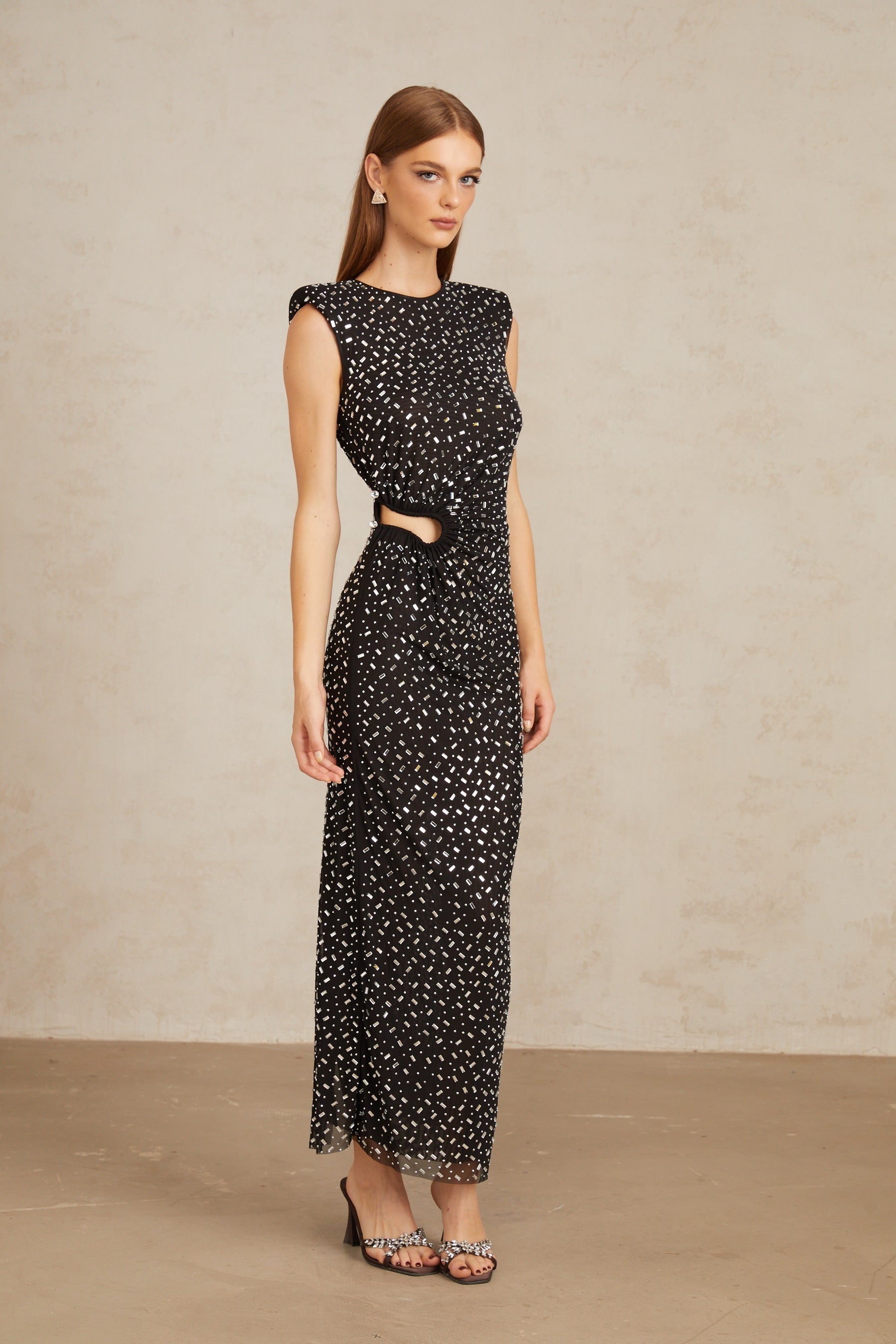 Félicie Black Embellished Mesh Maxi Gown
