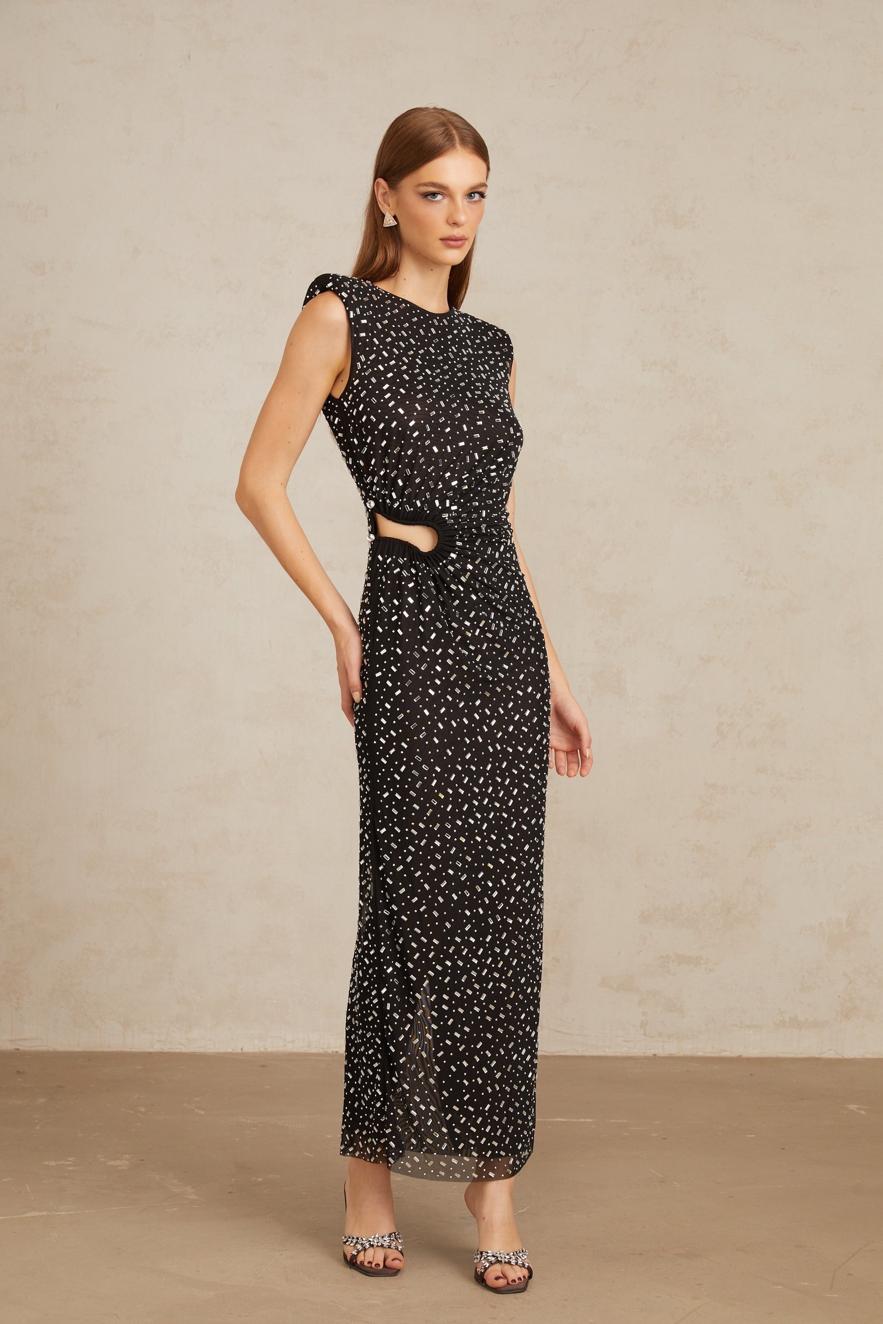 Félicie Black Embellished Mesh Maxi Gown