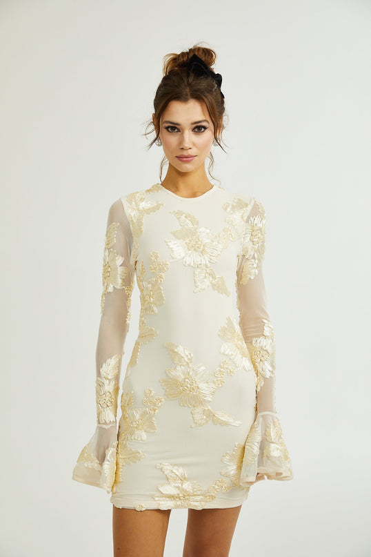 Franca Neutrals Floral Embroidery Dress with Mesh Detailing and Ruffled Cuffs