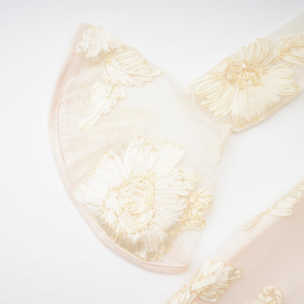 Franca Neutrals Floral Embroidery Dress with Mesh Detailing and Ruffled Cuffs
