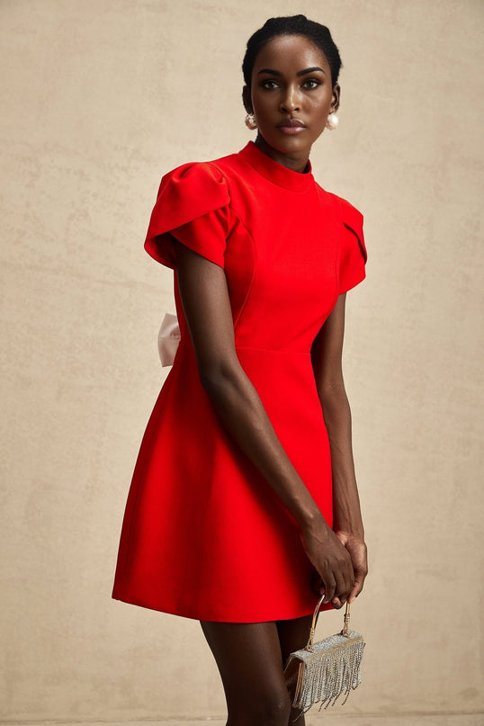 Gaia Red Mini Dress with Bow Detailing and Cut-Out Back