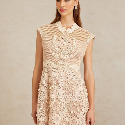 Gemmina Midi Dress in Neutrals Multicolor Corded Lace and Braid Detail with Cap Sleeves and Fitted Waistline