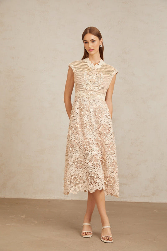 Gemmina Midi Dress in Neutrals Multicolor Corded Lace and Braid Detail with Scalloped Hem Cap Sleeves Fitted Waistline Calf Length