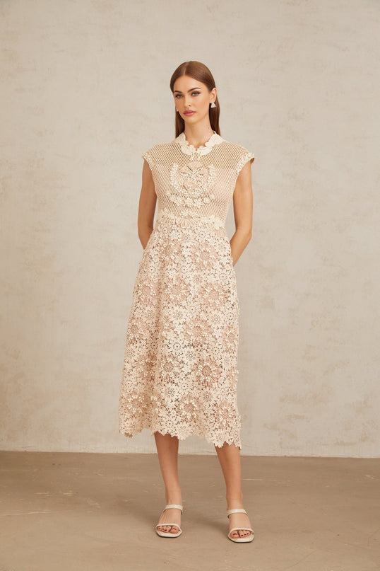 Gemmina Midi Dress in Neutrals Multicolor Corded Lace and Braid Detail with Scalloped Hem Cap Sleeves Fitted Waistline Calf Length