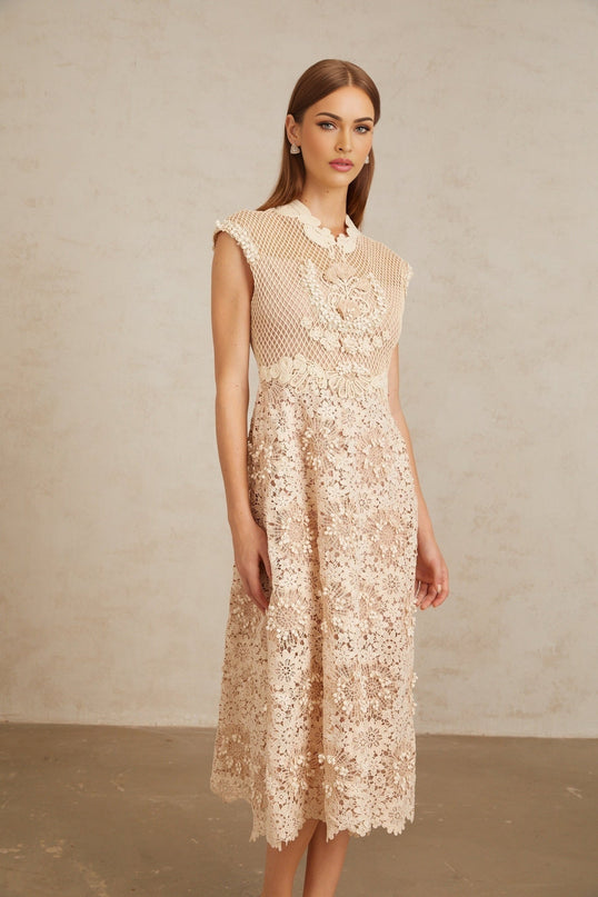 Gemmina Midi Dress Neutrals Multicolor Corded Lace Braid Detail Scalloped hem Cap sleeves Fitted waistline built-in cups bra Terylene fiber rear zip fastening Calf length