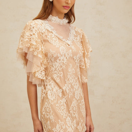 Giuliana Midi Dress in Neutrals with Bead Embellishments and Floral Lace Detailing