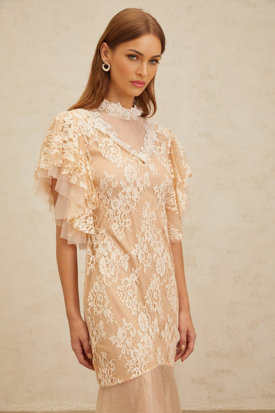 Giuliana Midi Dress in Neutrals with Bead Embellishments and Floral Lace Detailing