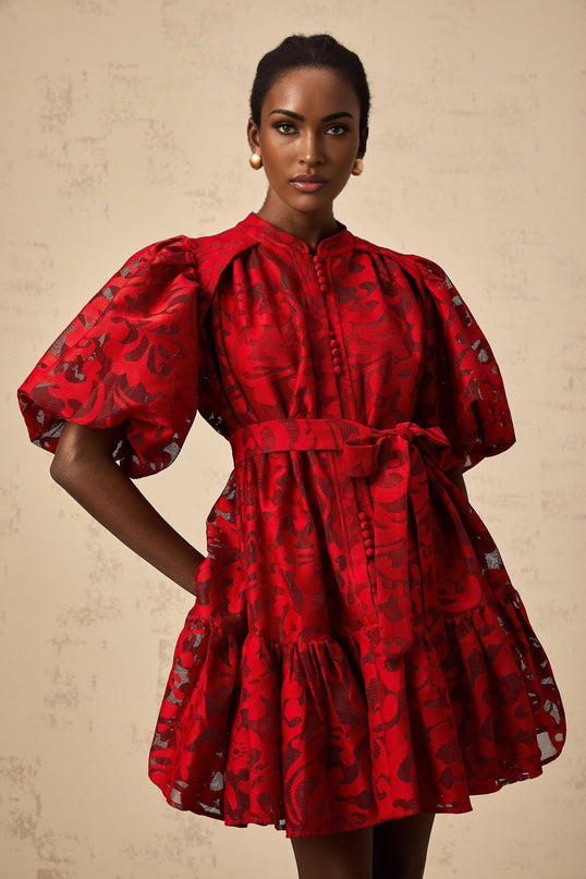 Graziana Red Jacquard Mini Dress with Sheer Half Puff Sleeves and Flared Skirt