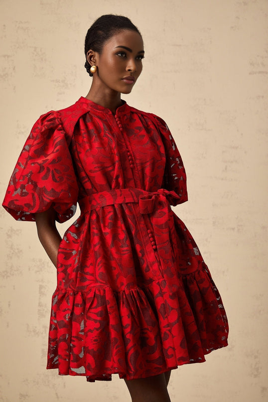 Graziana Red Jacquard Mini Dress with Sheer Half Puff Sleeves and Flared Skirt