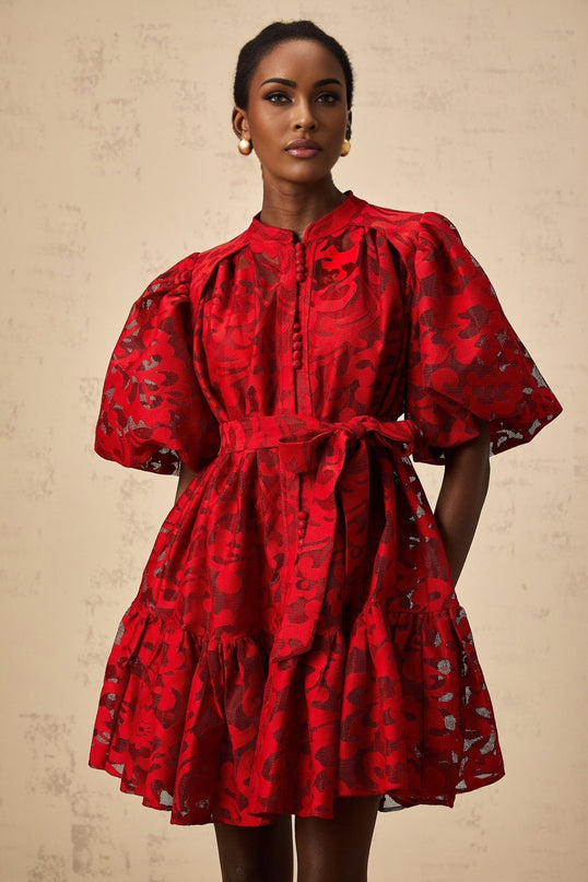 Graziana Red Jacquard Mini Dress with Sheer Half Puff Sleeves and Tied Waist