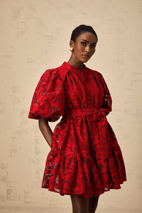 Graziana Red Jacquard Mini Dress with Sheer Puff Sleeves and Tied Waist