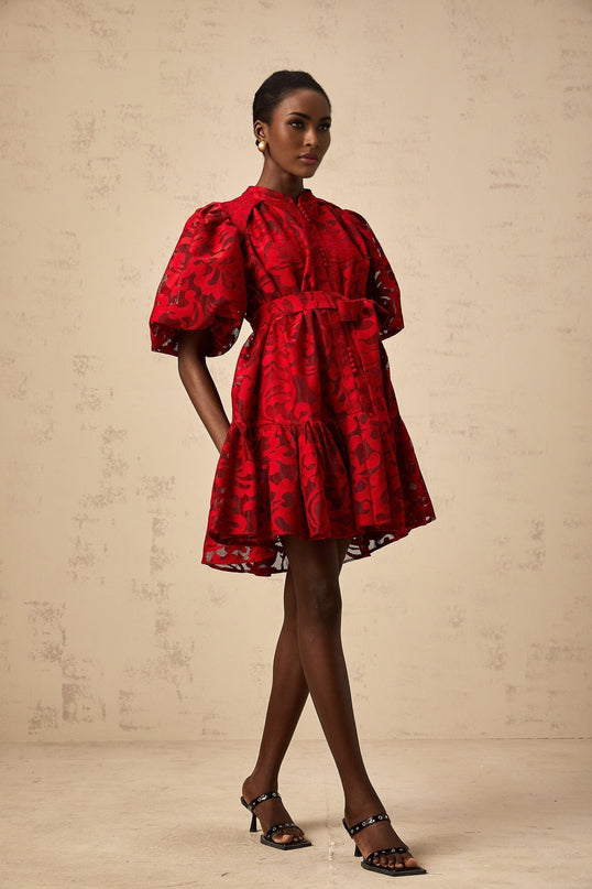 Graziana Red Jacquard Mini Dress with Sheer Puff Sleeves and Flared Skirt