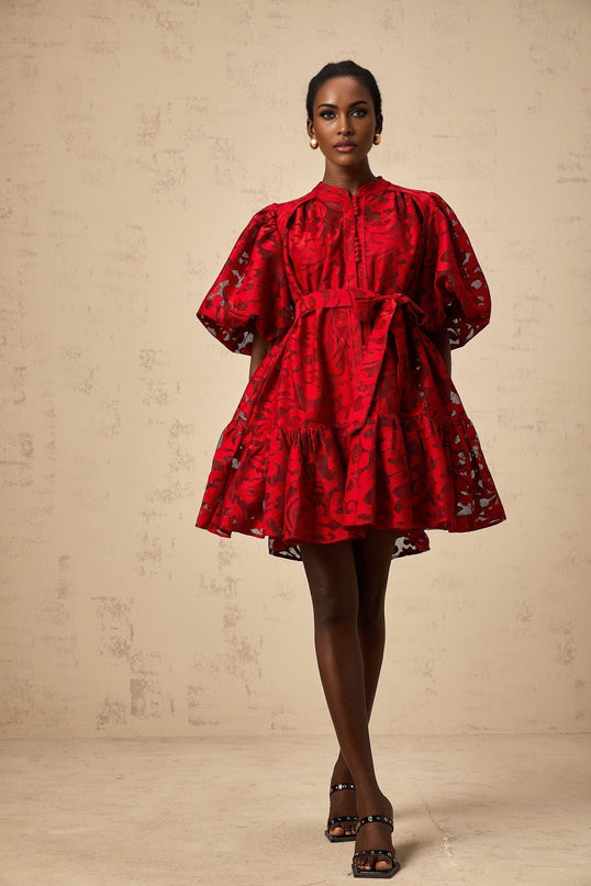 Graziana Red Jacquard Mini Dress with Sheer Half Puff Sleeves and Flared Skirt