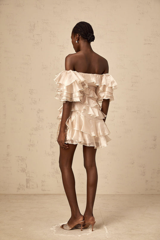 Greta Mini Dress With Floral Appliqué in Neutrals