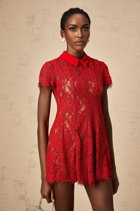 Haven Red Lace Sequin Mini Dress