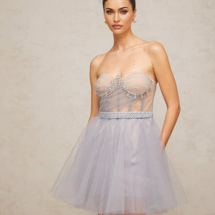Helena Grey Tulle Crystal Embellished Mini Dress