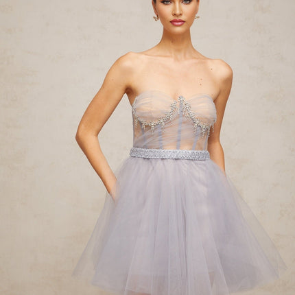 Helena Grey Tulle Crystal Embellished Mini Dress