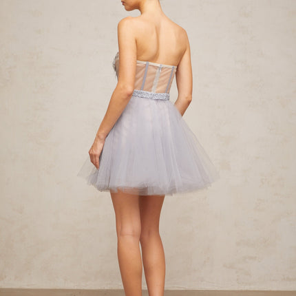 Helena Grey Tulle Crystal Embellished Mini Dress