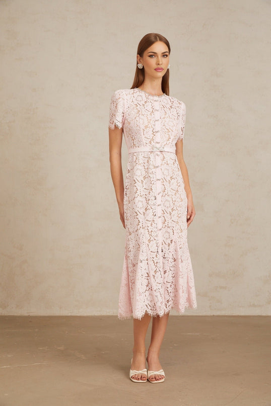 Holly Pink Floral Lace Crystal Bowknot Midi Dress