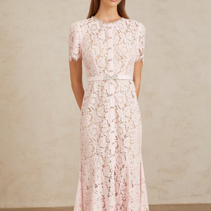 Holly Pink Lace Crystal Bowknots Midi Dress