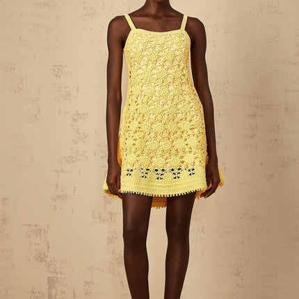 Isabella Yellow Crochet Flare Mini Dress