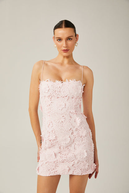 Jocelyne pink floral lace mini dress