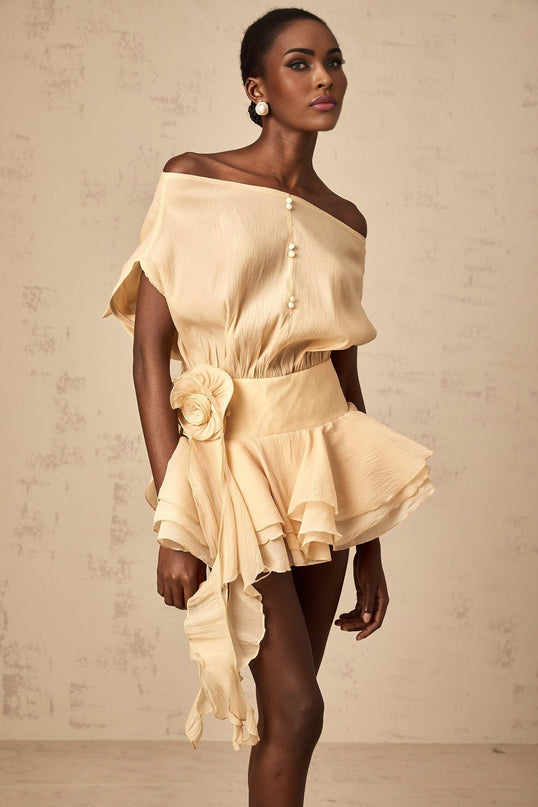 Juliet Neutrals Floral Appliqué Mini Dress with Pleated Detailing