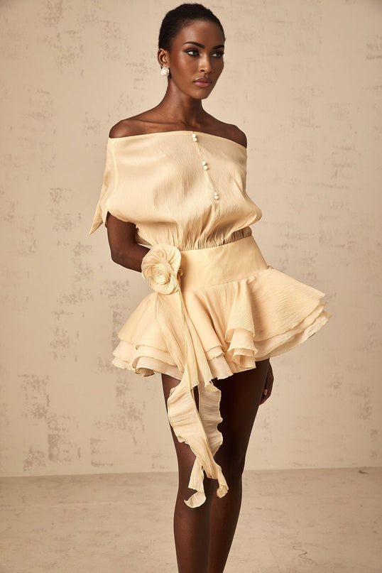 Juliet Neutrals Mini Dress with Floral Appliqués and Pleated Detailing