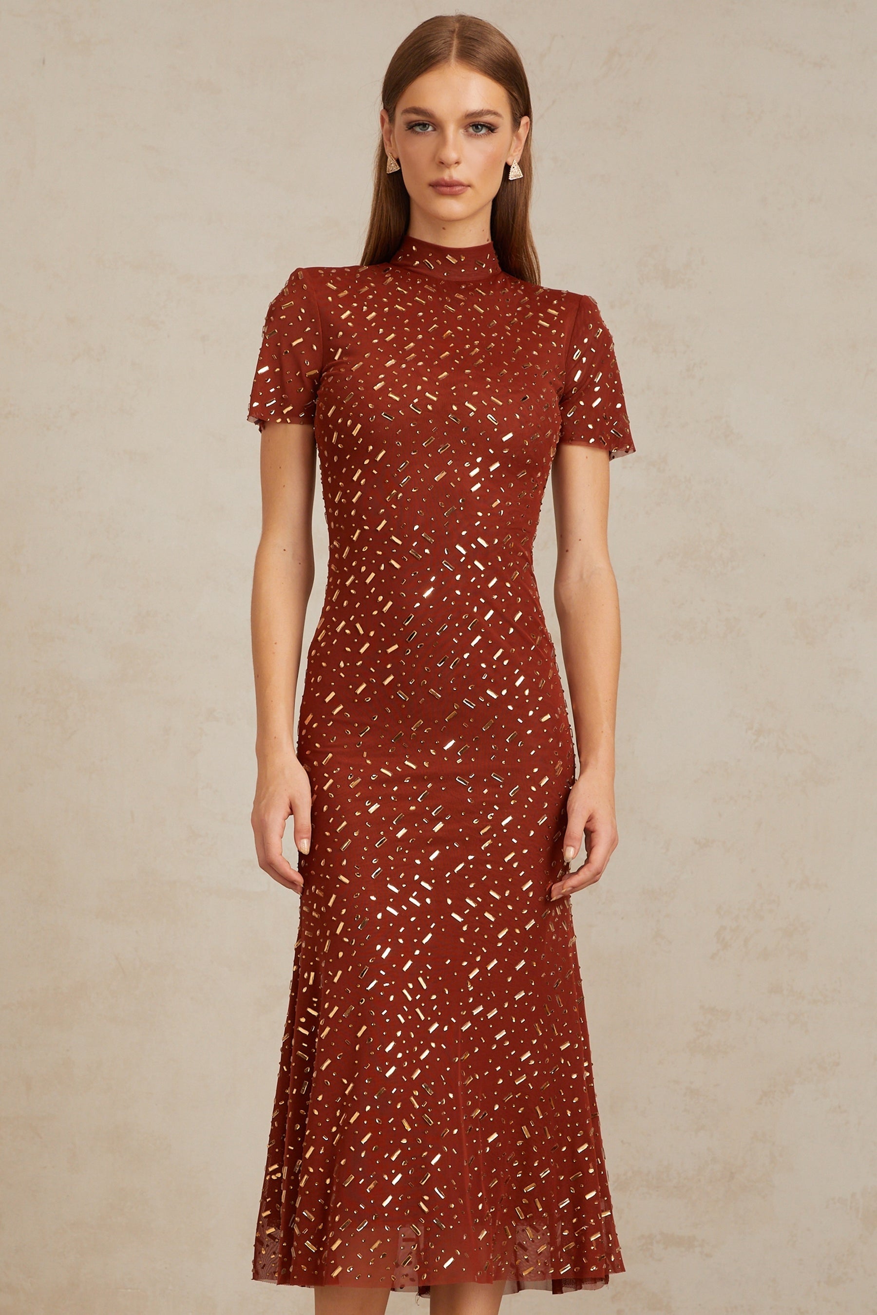 Kenza Brown Embellished Flared Tulle Midi Dress