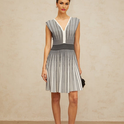 Kimora Black and White Stripe Mini Dress with V-Neck and Shirred Panel