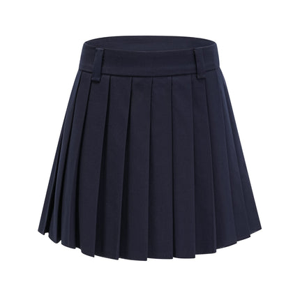 Lesly Navy Blue A-Line Embroidered Pleated Skirt